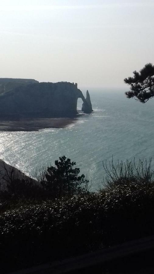 Les Nids Des Falaises Saint-Jouin-Bruneval Екстериор снимка
